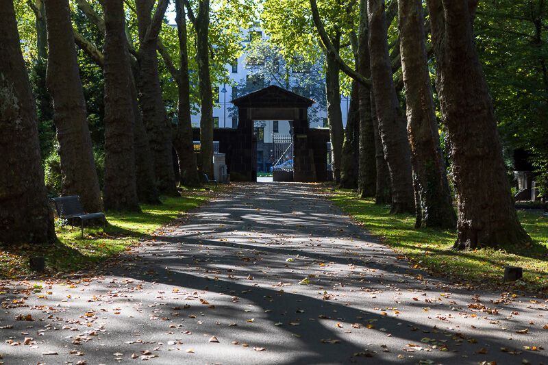 Oase der Ruhe in Köln: Melaten-Friedhof Eingangstor des Melaten-Friedhof in Köln, der Weg wird von hohen Bäumen gesäumt.