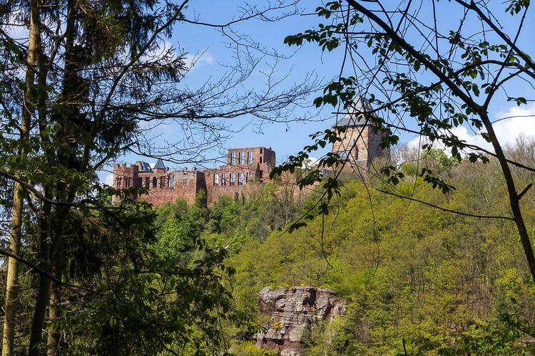 Burg Nideggen auf dem Weg zu den Buntsandsteinfelsen Von einem Wanderweg blickt man durch Äste auf Burg Nideggen.