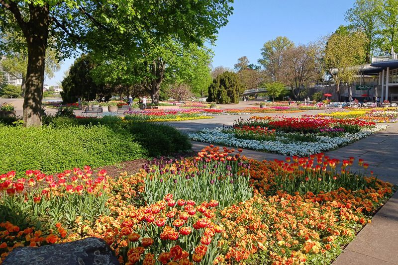 Ruheoase Rheinpark Köln Bunte Blumenbeete im Rheinpark von Köln.