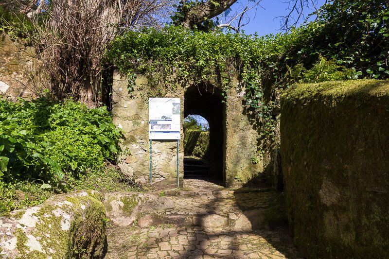 Wanderung in Sintra Bewachsener Torbogen auf dem Caminho de Santa Maria. Hier geht es zum Castelo dos Mouros, Portugal.