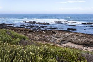 Wilde Küste in der Nähe von Gqeberha in Südafrika.