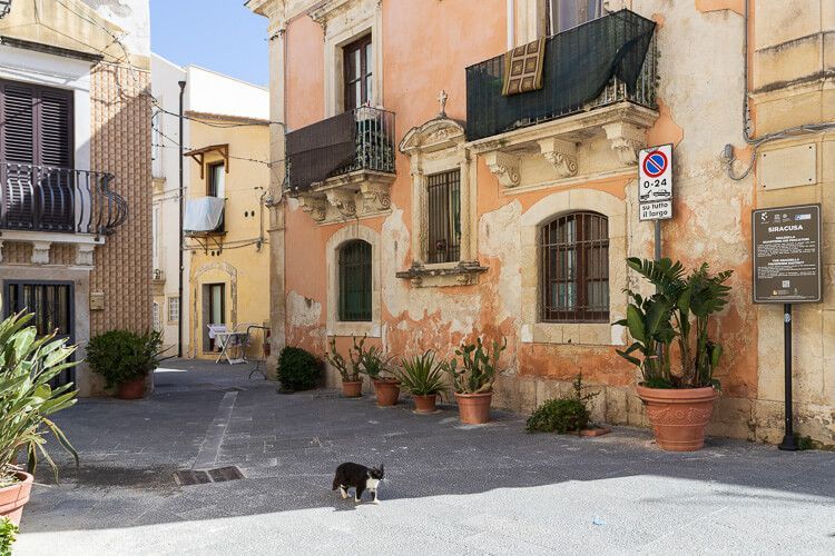 Kleiner Innenhof in der Altstadt von Syrakus. Kleiner Innenhof in der Altstadt von Syrakus, eine Katze läuft über den Hof.