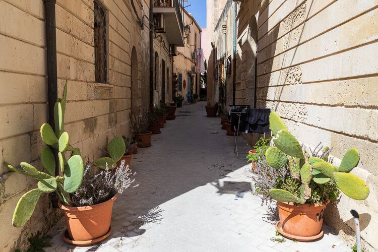Schmale Seitengasse in der Altstadt von Syrakus mit vielen Kübelpflanzen. Schmale Seitengasse in der Altstadt von Syrakus mit vielen Kübelpflanzen.