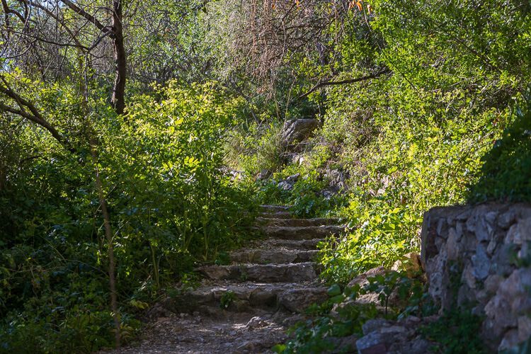 Wanderweg von Taormina nach Castelmola Wanderweg von Taormina nach Castelmola mit Stufen aus Naturstein und üppiger Natur.