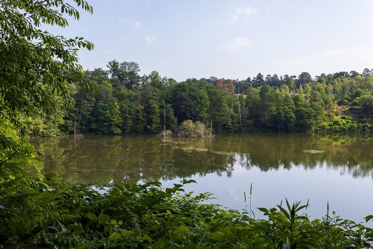 Idyllischer See auf der Eilerberg-Tour, das sogenannte Pionierbecken 3.