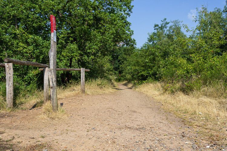Wanderweg mit typischer Wegmarkierung Wanderweg mit Wegmarkierung auf der Eilerberg-Tour.