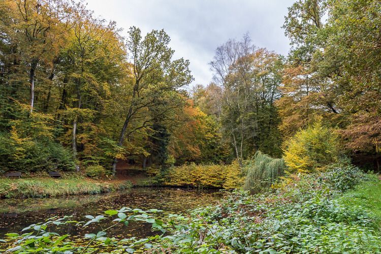 Herbststimmung auf der Herfeld-Tour Teich mit herbstlich gefärbten Bäumen in der Wahner Heide.