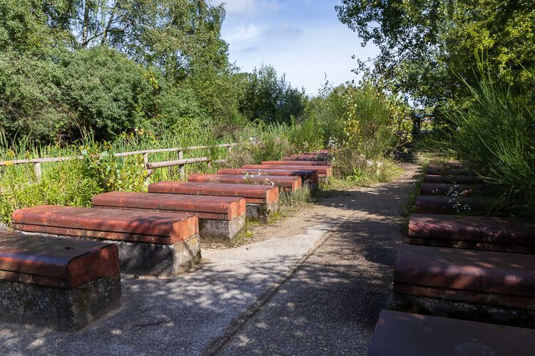 Ehemalige Panzerwaschanlage auf der Hühnerbruch-Tour in der Wahner Heide.