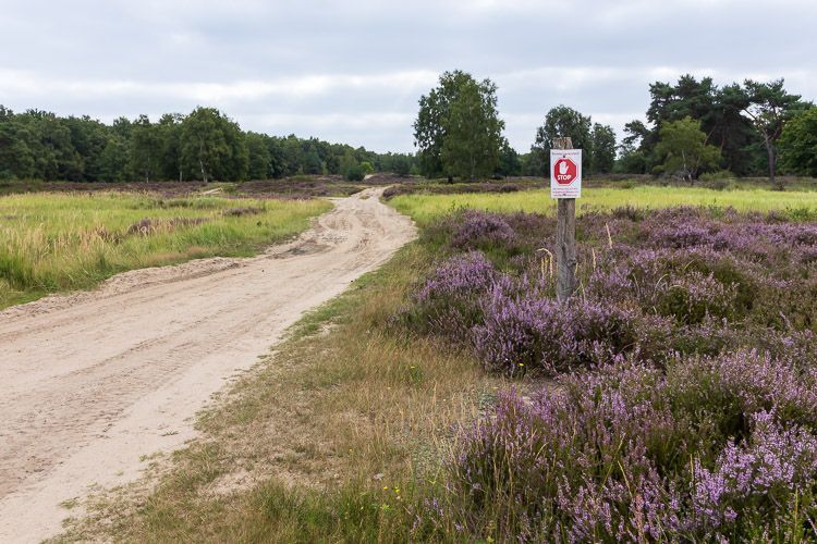 In der Wahner Heide steht ein Stoppschild, damit das Naturschutzgebiet nicht von Wanderern betreten wird.
