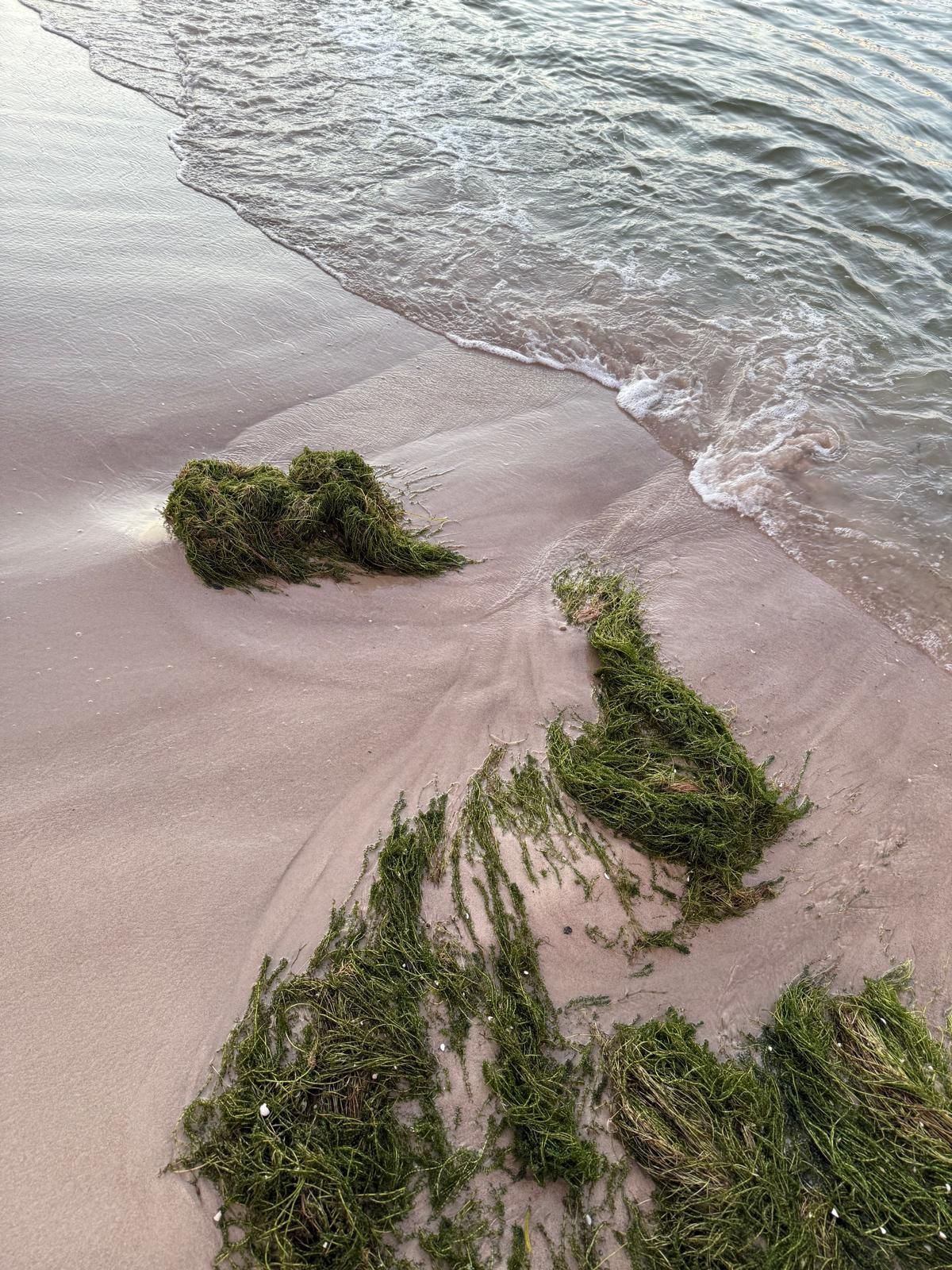 Das Öffnen und nicht das Blockieren fördert das Leben.
„Die gesunde Ursprungskraft wieder finden“