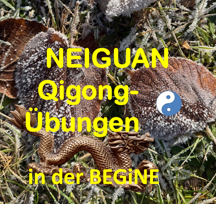 Qigong & Taiji für deine Lebensenergie!
NEIGUAN - Qigong-Übungen aus der Reihe
