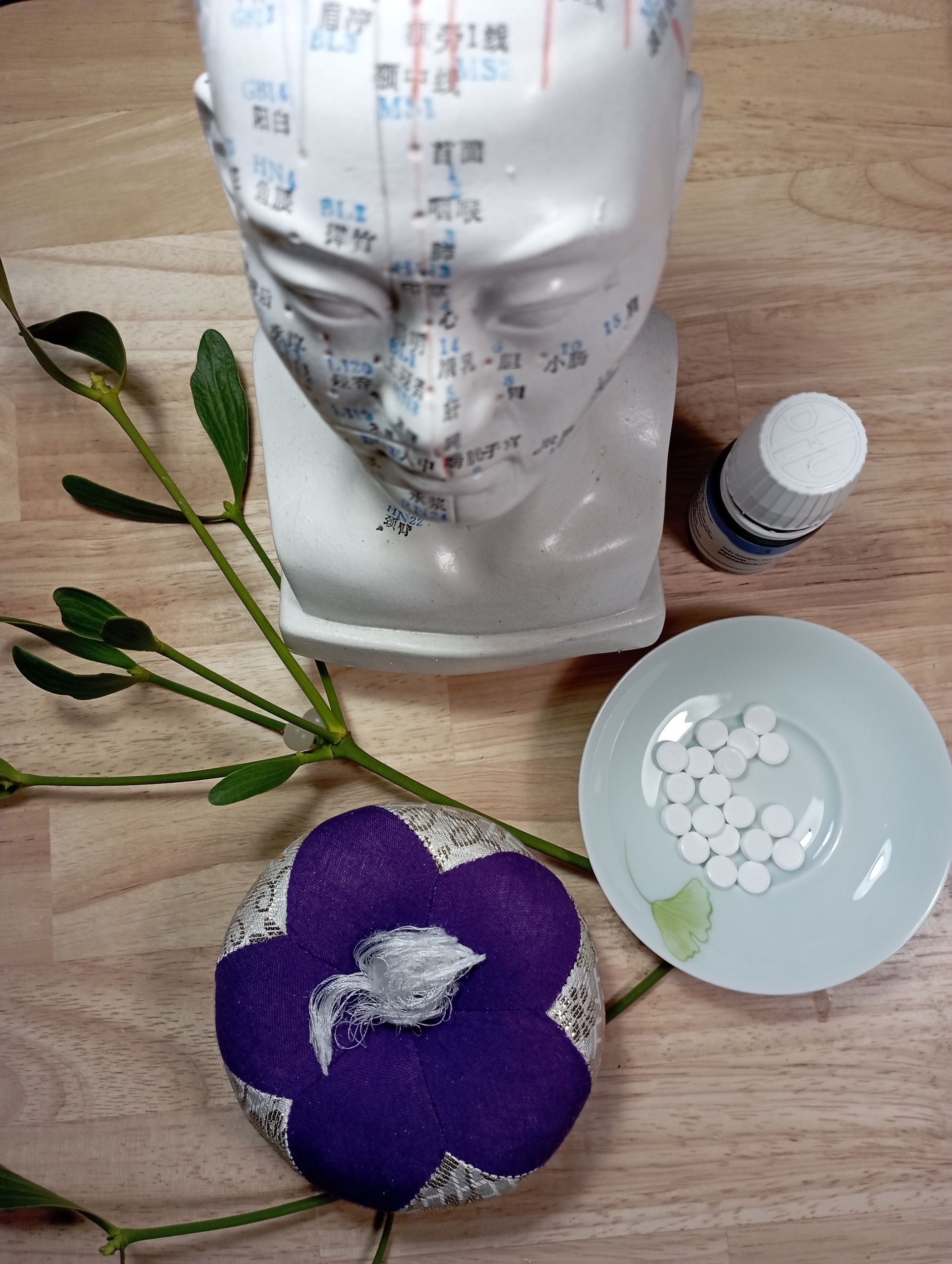 Wissenswertes zu Schüßler-Salzen im Kontext der Chinesischen Medizin. Komplementär zur Akupunktur.