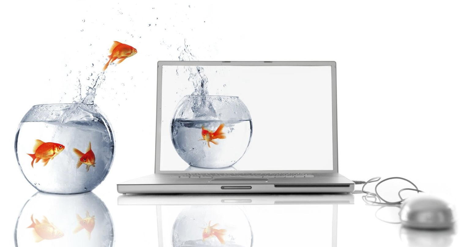 Webdesign, Internetseiten, Websites, Insel Tick