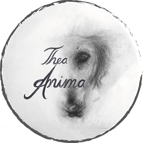 Logoentwicklung: Thea Anima Spanien