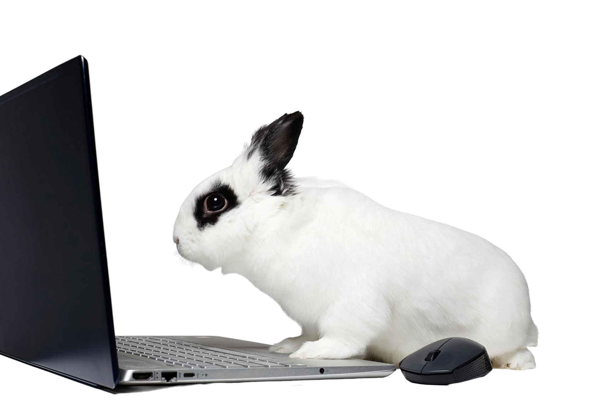 Webdesign, Internetseiten, Landingpage, Content Websites Homepage Content