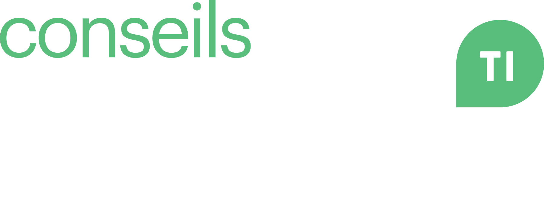 Conseils Strateg-TI logo français