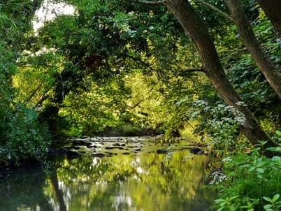 Nala Lodge | Things to do in Knaresborough woodland trust