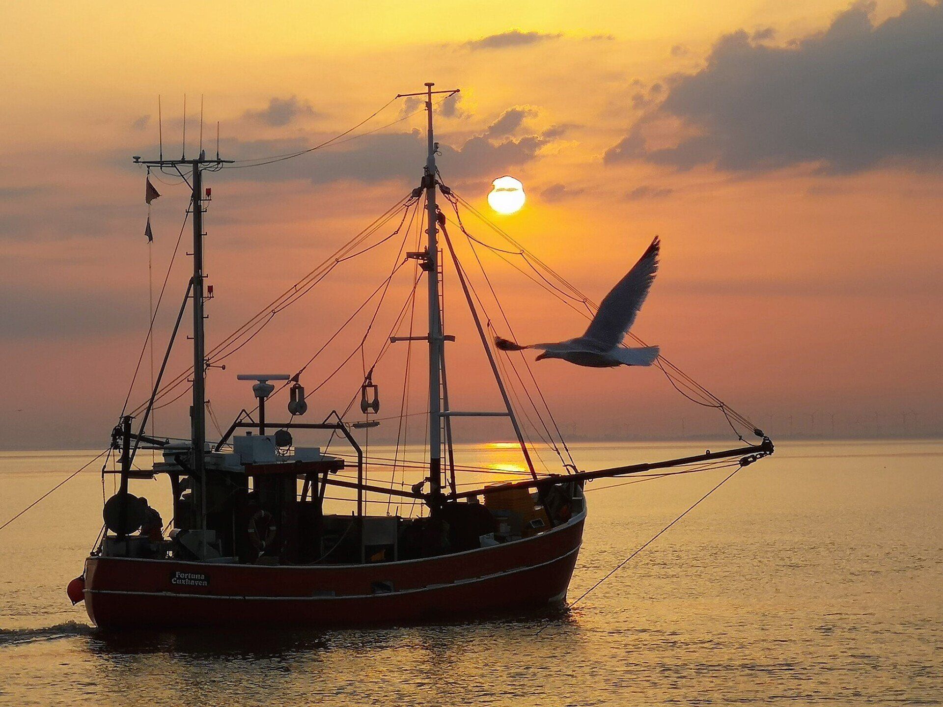 Krabbenkutter in der Abendsonne auf der Nordsee