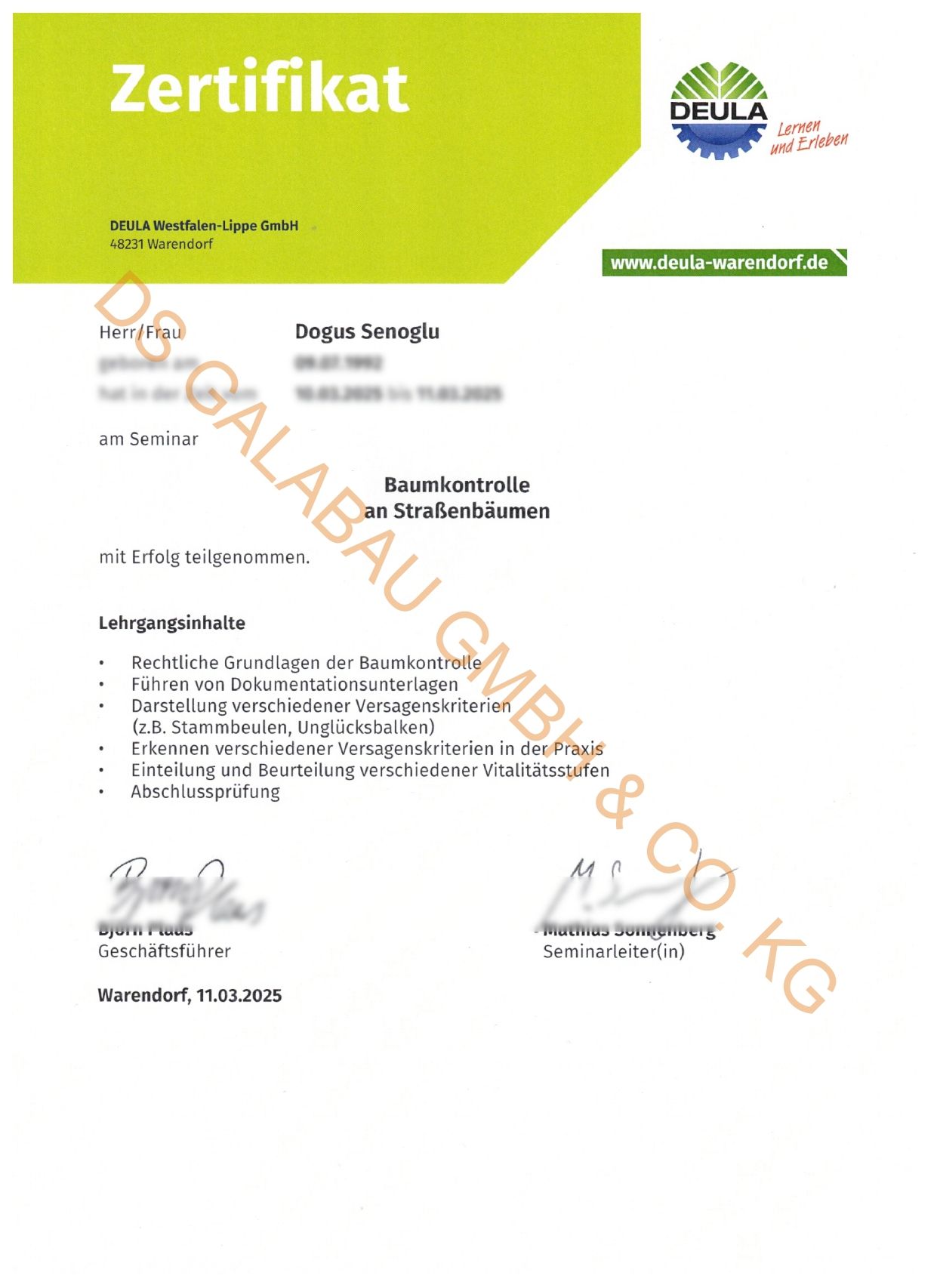 Sachkundiger Baumkontrolleur - DS Galabau GmbH & Co. KG