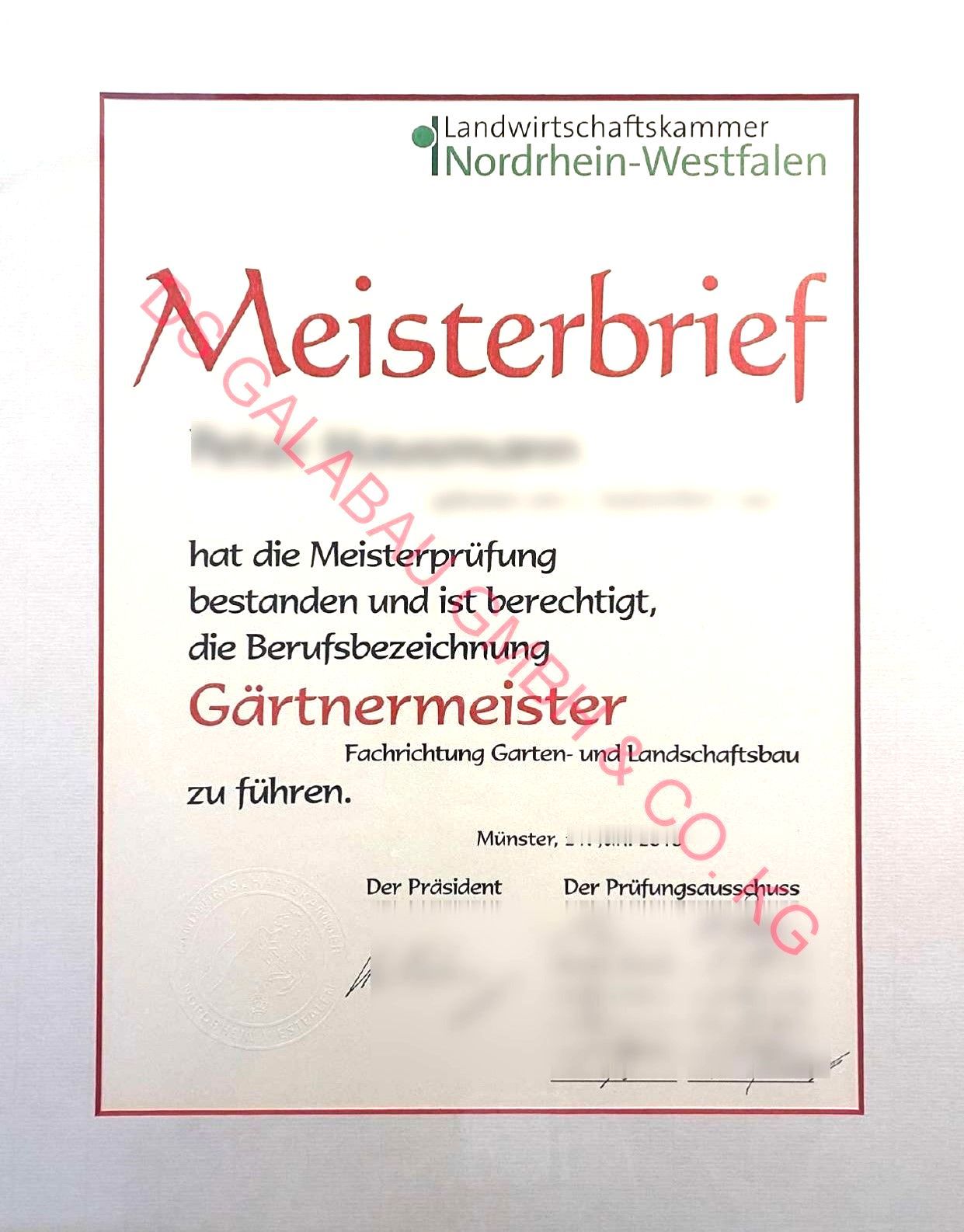 Meisterbrief - DS Galabau GmbH & Co. KG