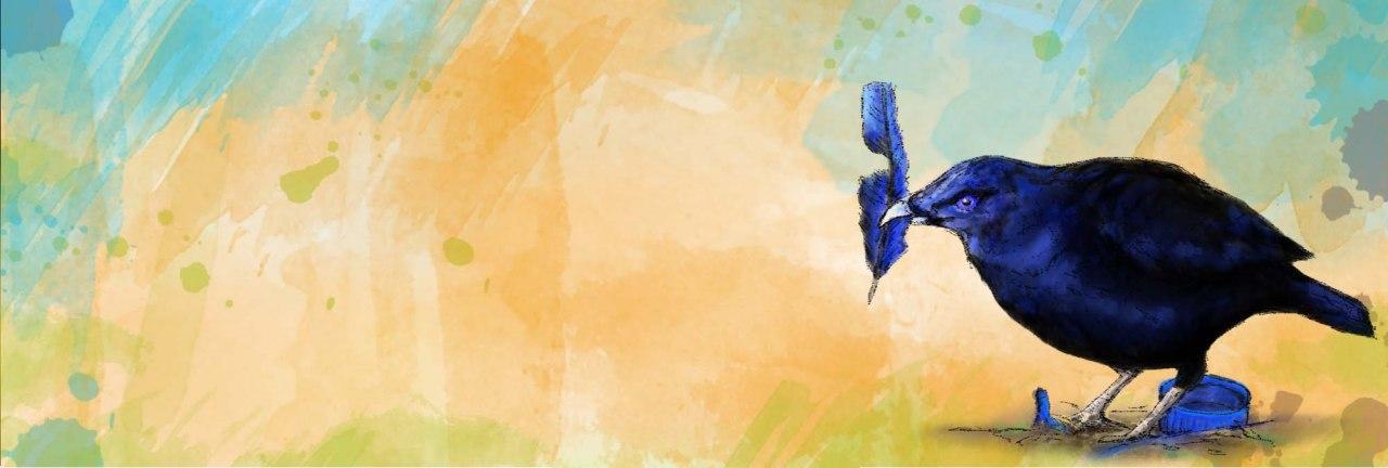 Fotografin Trier Zeichnung Laubenvogel Aquarell