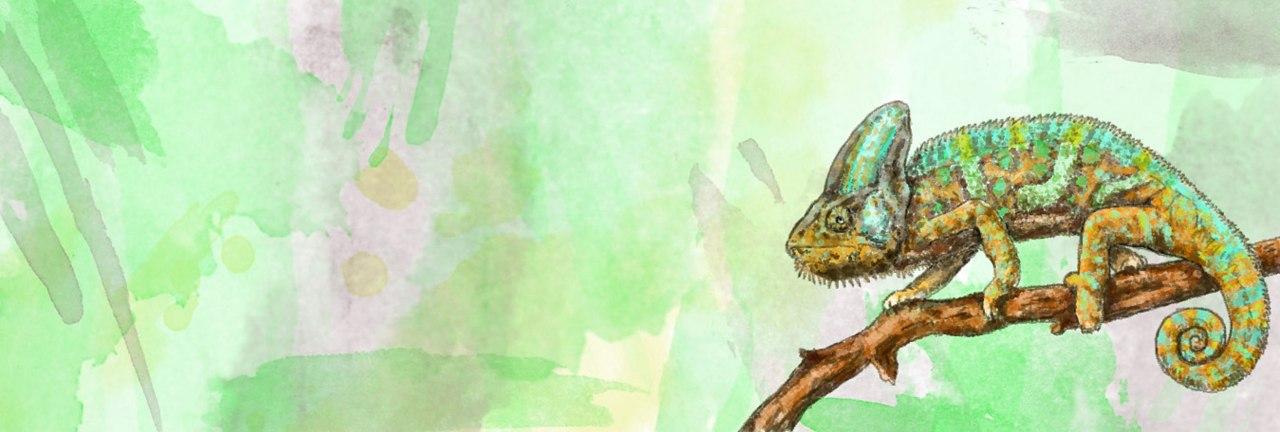 Fotografin Trier Zeichnung Chamäleon Aquarell