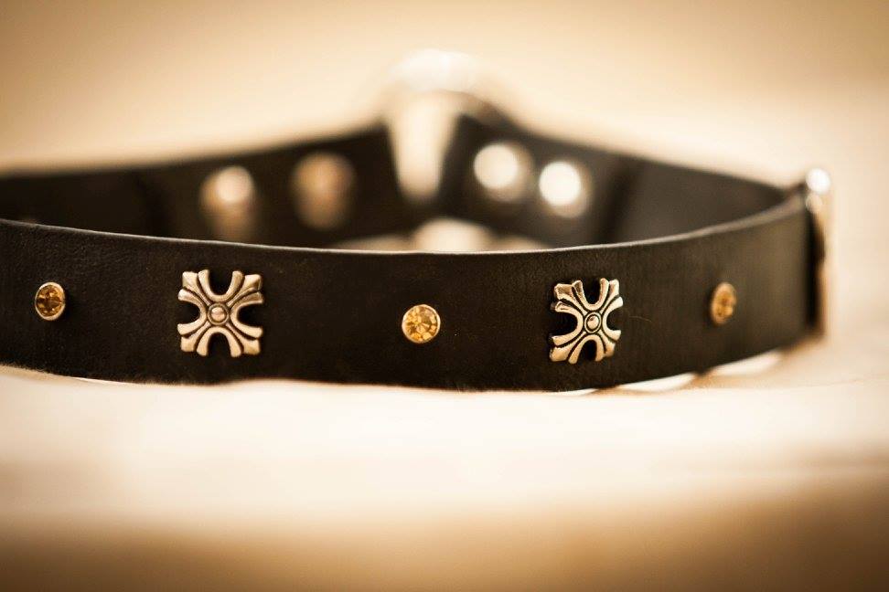 Hundezubehör Saarland handgemachtes Halsband aus Biothane mit Ziernieten