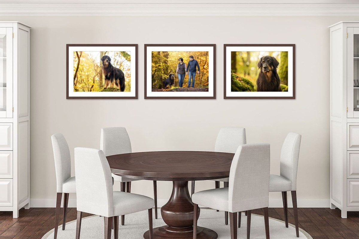 Ideen für deine Bilder Wandgalerie Rahmen Hovawart im Herbstwald