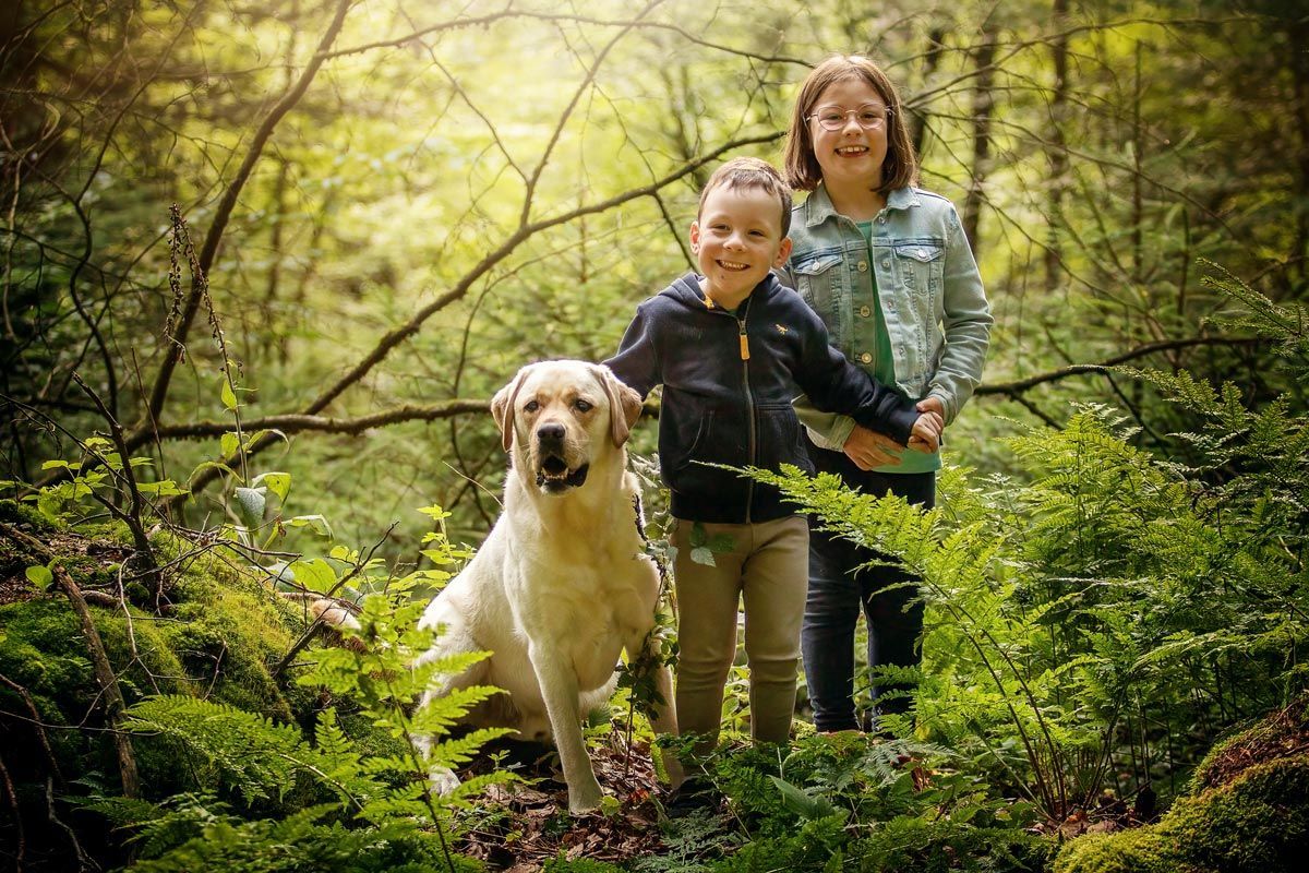 LL Photography Mensch und Tier: ein blonder Labrador, ein kleiner Junge und ein Mädchen stehen fröhlich in einem Sommerwald zwischen Farnen.