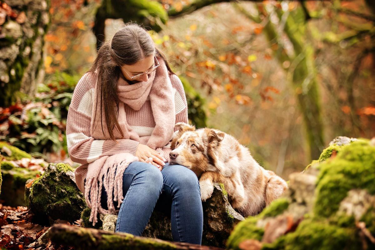 LL Photography junge Frau mit altrosa Pulloer sitzt auf einem Felsen im Herbstwald, neben der Frau liegt ein red merle Australian Shepherd und schaut sie an