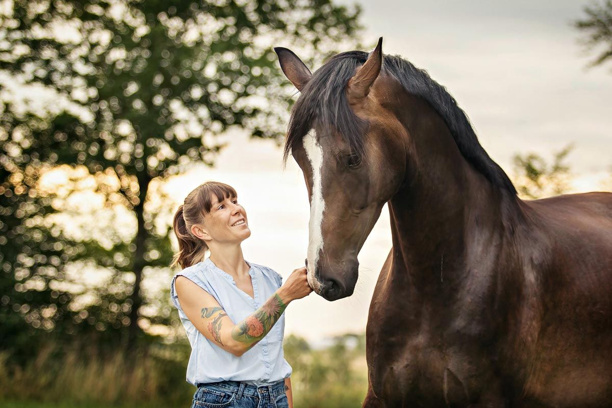 LL Photography Mensch und Tier: eine Frau berührt sanft die Nase eines großen braunen Warmblut-Pferdes.