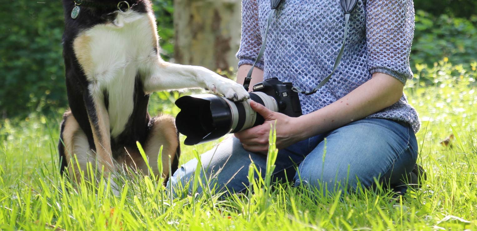 Tier Fotoshooting Hundepfote auf Kamera