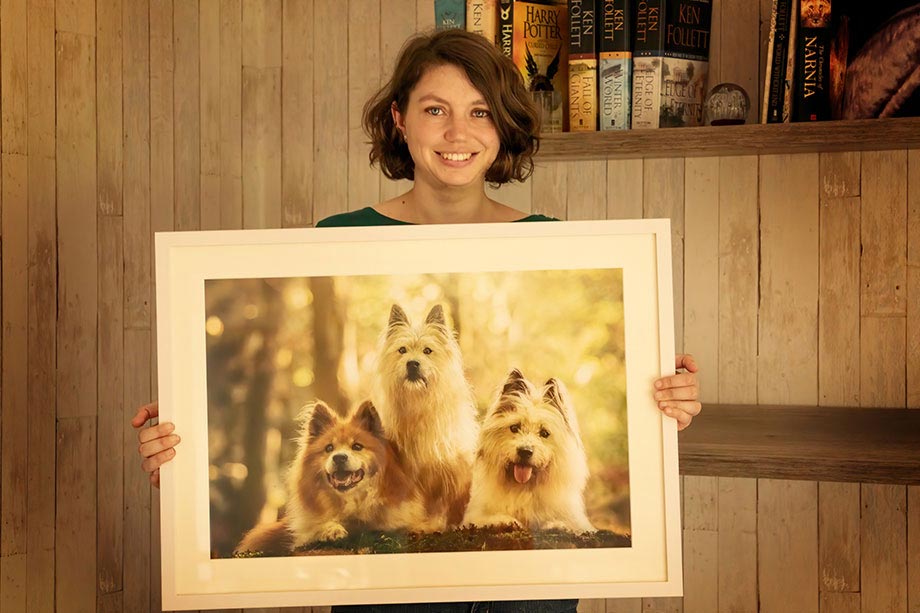 Tierfotoshooting Laura Längsfeld mit gerahmten Wandbild Elos im Wald