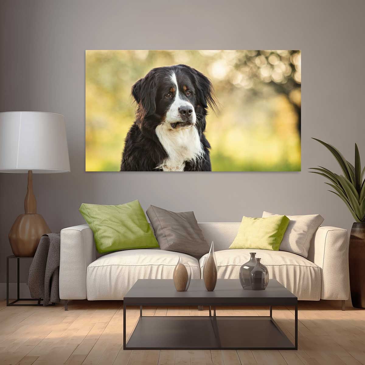 Tierfotografie Trier Luxemburg Saarland Portrait eines Berner Sennenhundes im Frühling als großes Wandbild