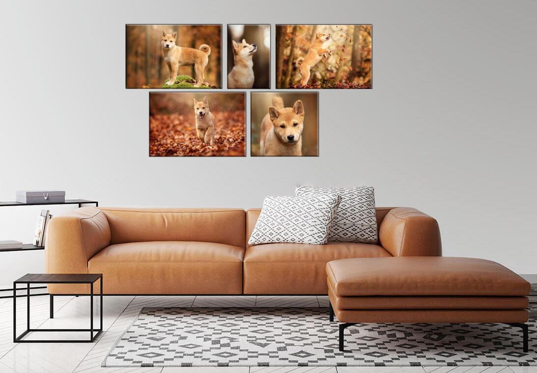 Ablauf Fotoshooting Ergebnis Wandgalerie herbstlich