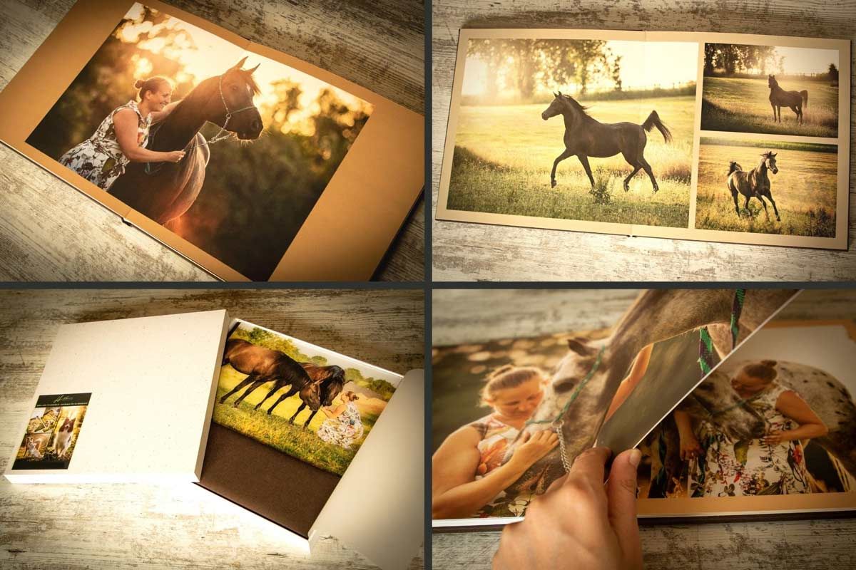 Tierfotografie Weihnachtsgeschenk Trier Album