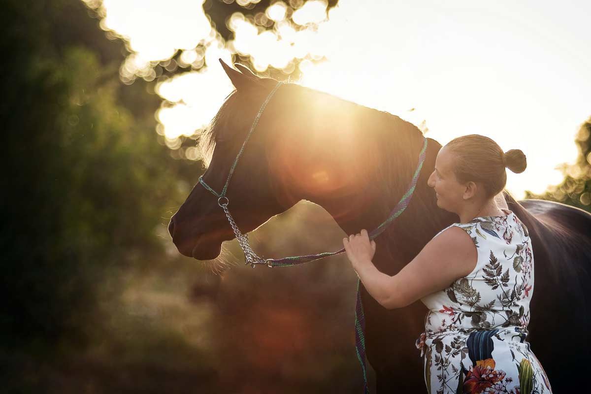 LL Photography Mensch und Tier: eine Frau mit einem schwarzen arabischen Pferd im Morgenlicht.