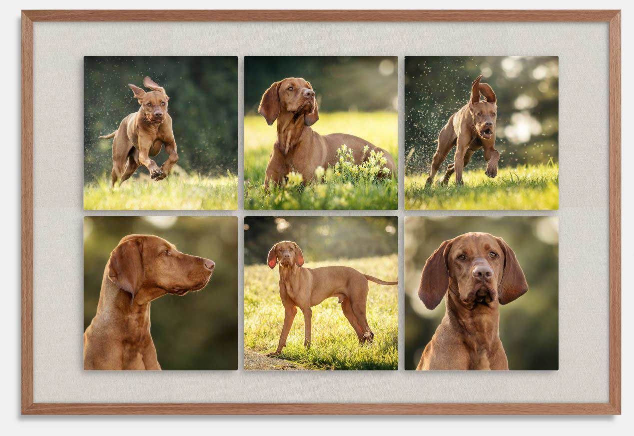 warum Fotos drucken - Rahmen Collage