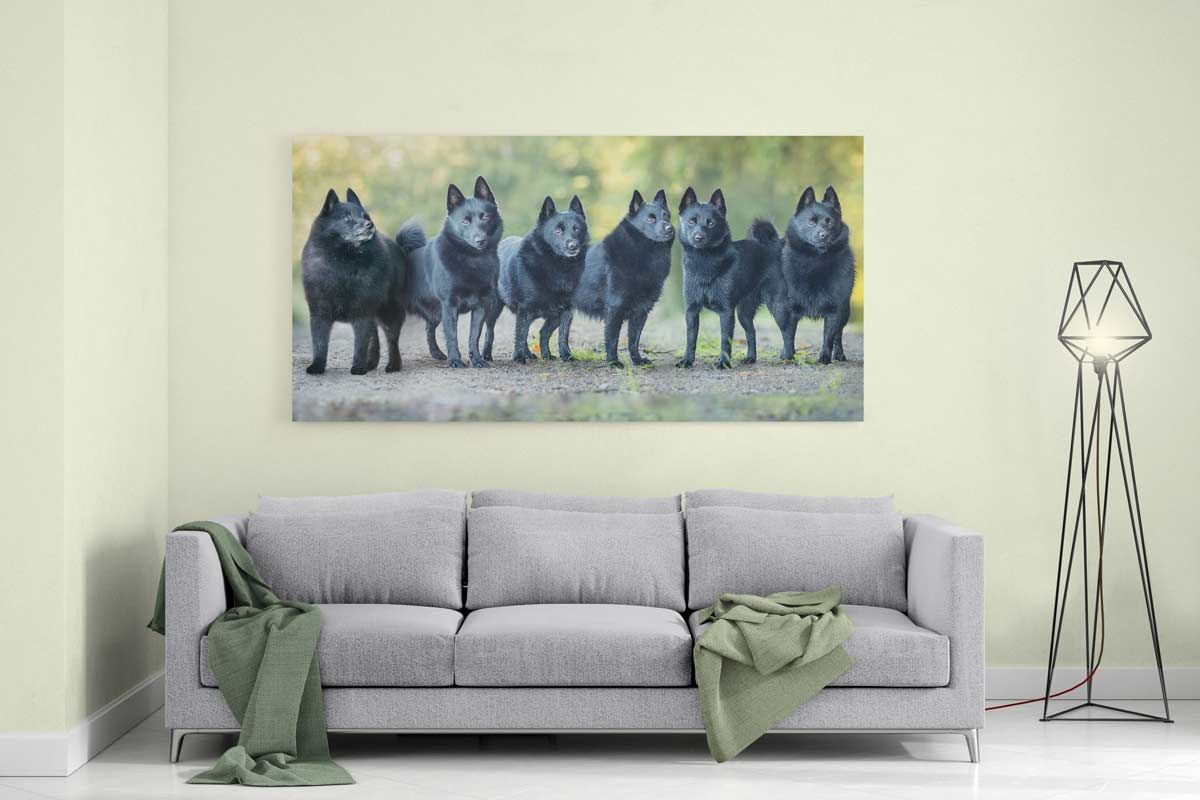 warum Fotos drucken - Leinwand Großformat