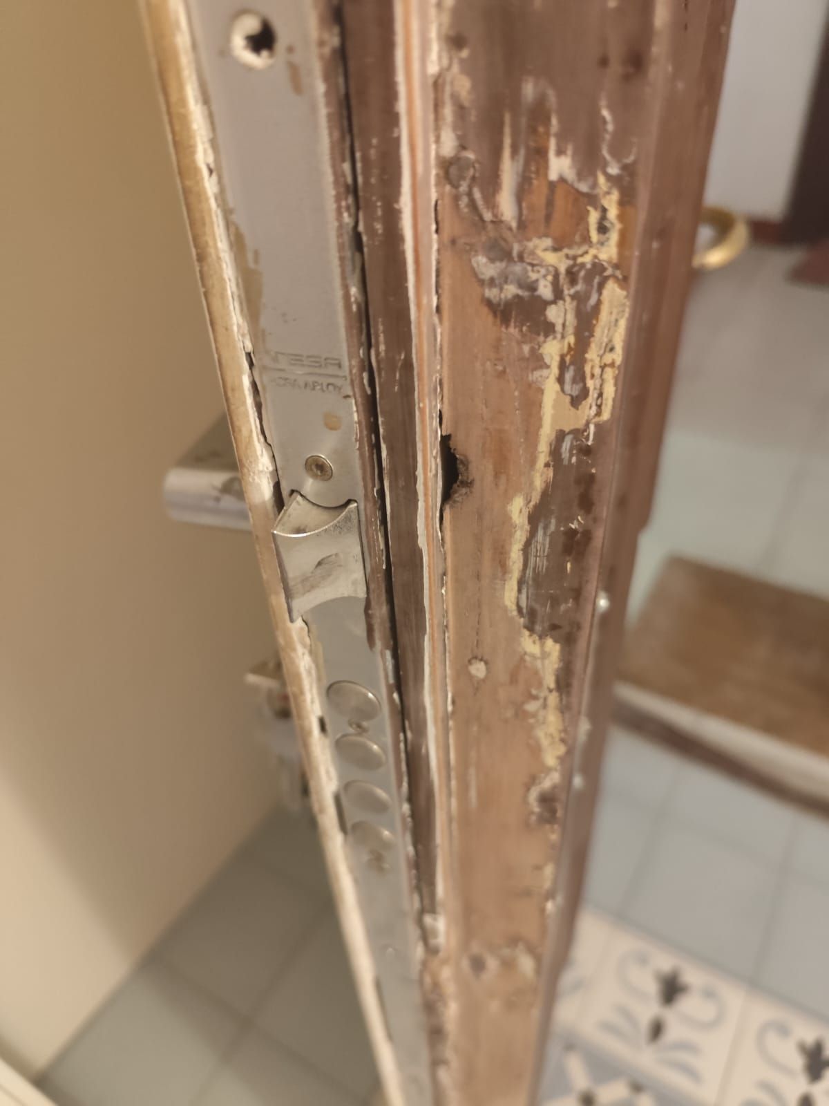 Desperfectos en puertas de entrada que se pueden restaurar y reparar