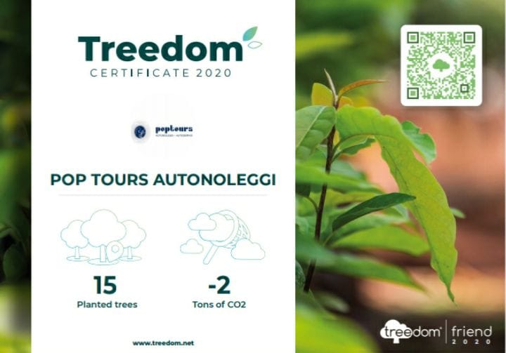LA FORESTA POP TOURS, UN ALBERO A PORTATA DI CLIC