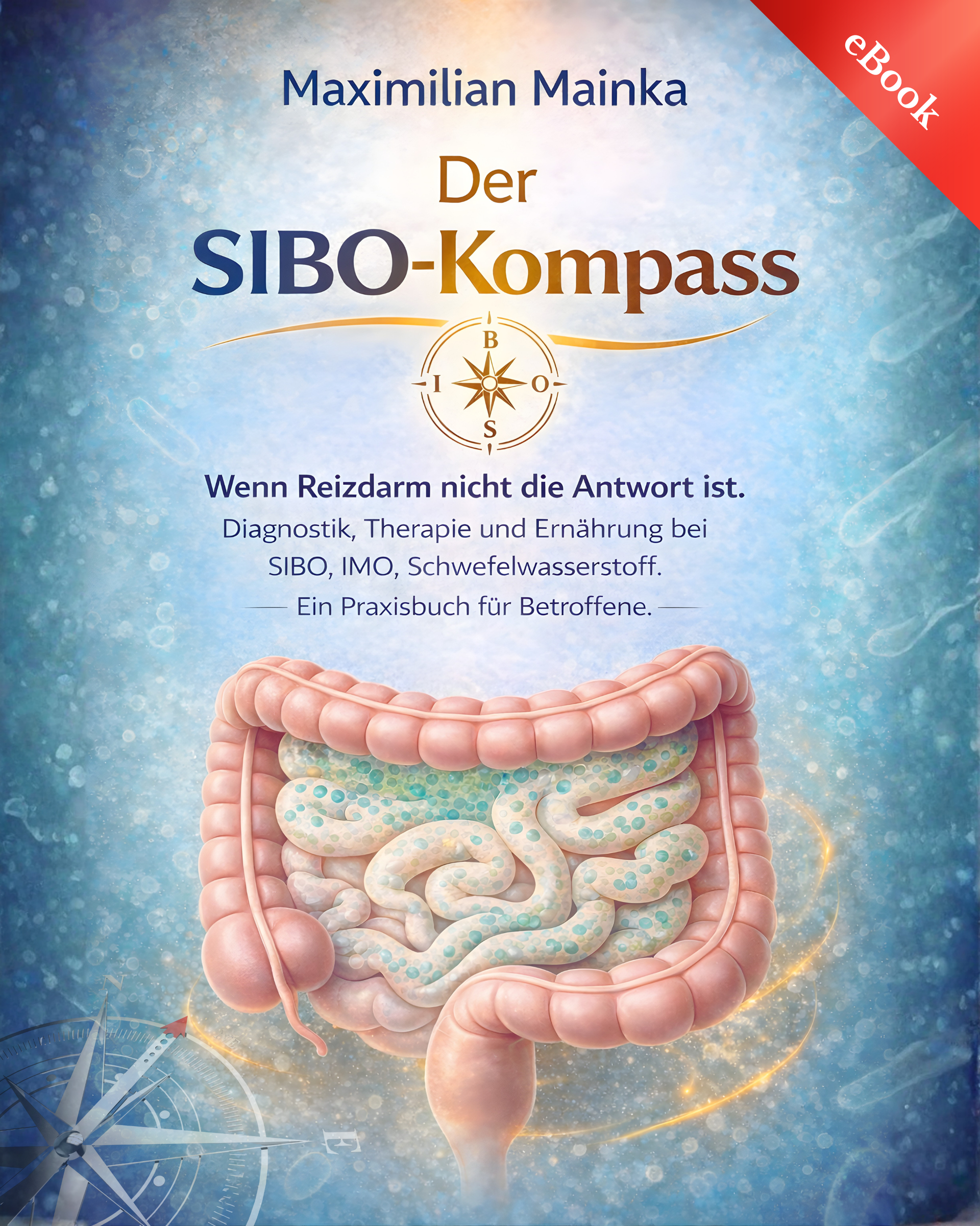 SIBO eBook 2026 Der SIBO-Kompass eBook von Maximilian Mainka, 253 Seiten Fachbuch über SIBO und IMO