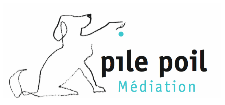 Pile Poil Médiation Pile Poil Médiation ppmediation