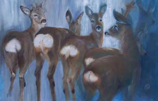 Rehe Rehwildsprung