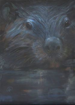 Biber auf Augenhöhe Biber