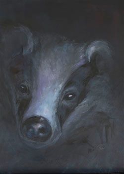 Dachs auf Augenhöhe Dachs