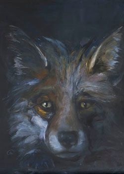 Fuchs auf Augenhöhe Fuchs