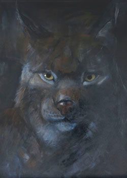 Luchs auf Augenhöhe Luchs