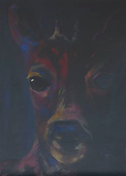 Rehbock auf Augenhöhe Rehbock