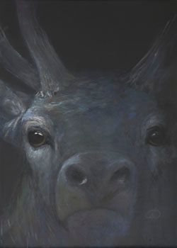 Rothirsch auf Augenhöhe Rothirsch